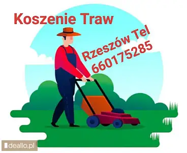 Koszenie traw działek Rzeszów Tyczyn Budziwój tel 660175285 - RZESZOWIAK.EU