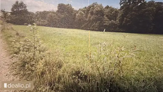 [eLicytacje] I licytacja - Nieruchomość gruntowa niezabudowana - Zdjęcie 2 - RZESZOWIAK.EU