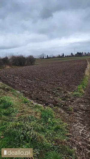 [eLicytacje] III licytacja - Udział 1/2 nieruchomości gruntowej niezabudowanej, którą stanowi działk - RZESZOWIAK.EU
