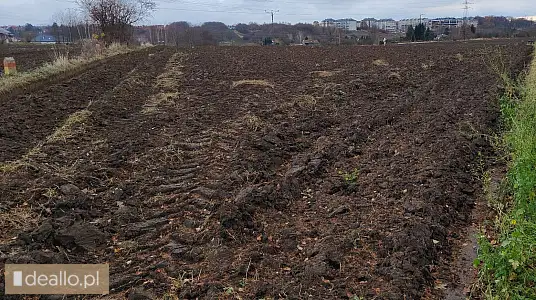 [eLicytacje] III licytacja - Udział 1/2 nieruchomości gruntowej niezabudowanej, którą stanowi działk - RZESZOWIAK.EU