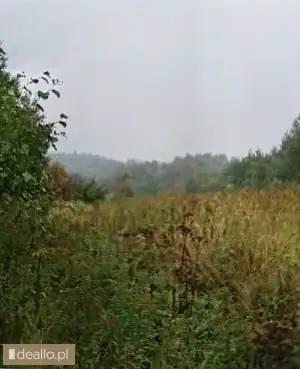 [eLicytacje] III licytacja - Nieruchomość gruntowa - RZESZOWIAK.EU